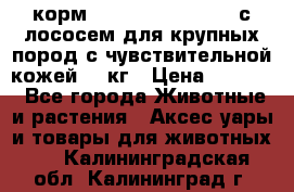 корм pro plan optiderma с лососем для крупных пород с чувствительной кожей 14 кг › Цена ­ 3 150 - Все города Животные и растения » Аксесcуары и товары для животных   . Калининградская обл.,Калининград г.